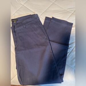 Banana Republic Deep Blue Trousers